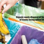 Banana Being Deposited in the Organic Waste Receptacle