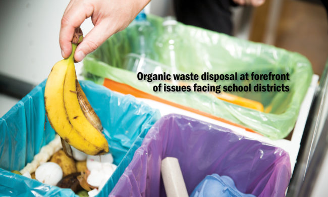 organig-waste-at-forefront-of-issues-facing-school-districts Banana Being Deposited in the Organic Waste Receptacle
