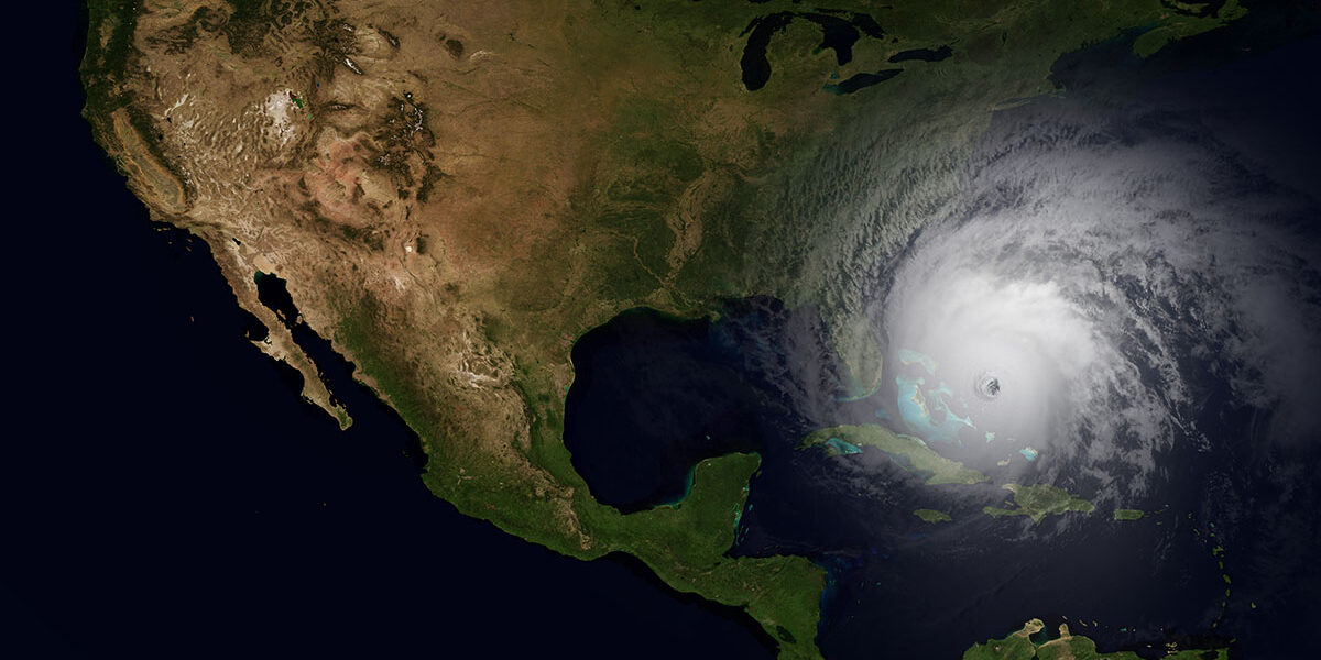 Extremely detailed and realistic high resolution illustration hu